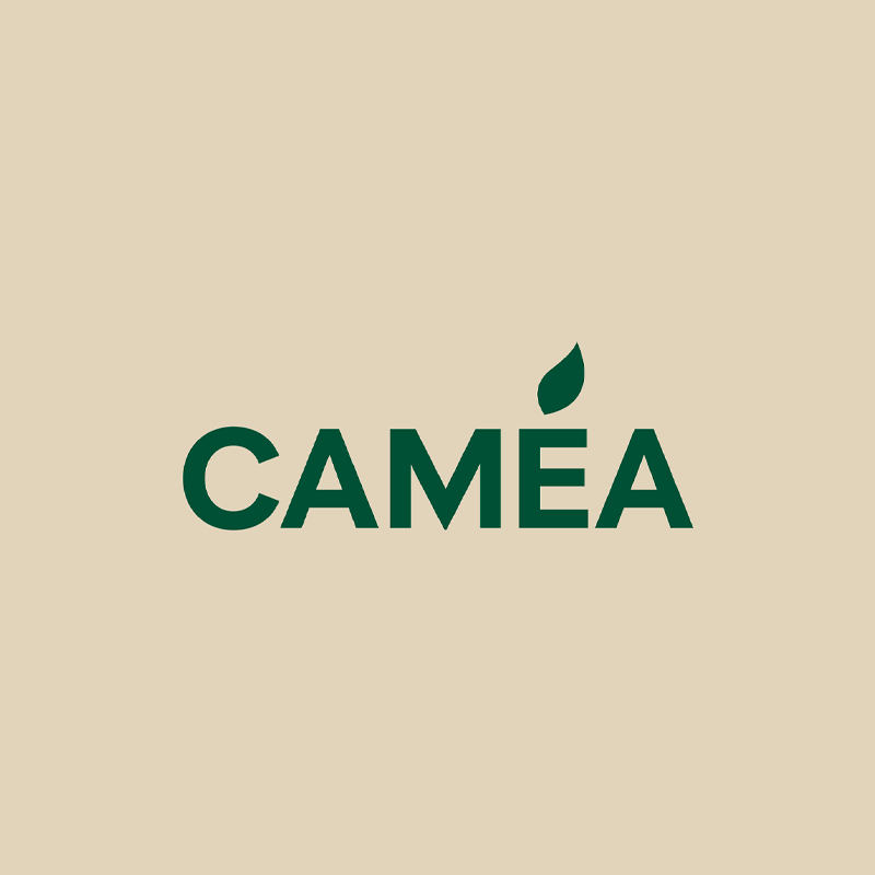 Caméa